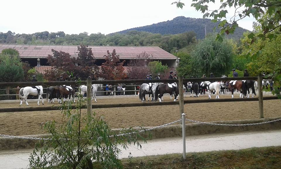 Finales Campeonato Navarro Doma Clásica 2016